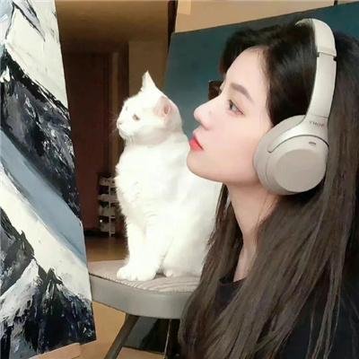 文豪野犬第一季