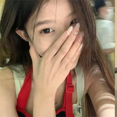 完美的独裁国家
